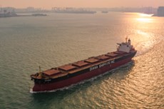 Diana Shipping Inc. report second quarter financial results