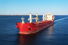 Pelagic Credit completes US$47.4 million bulk carrier deal