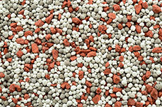 CBH Group breaks records