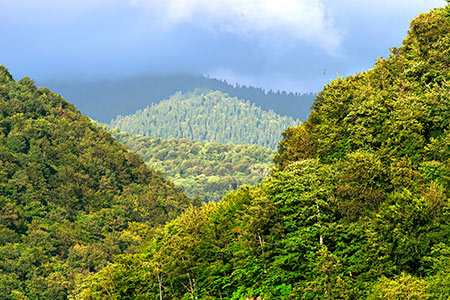 MiAMBIENTE recognises Panama Canal's efforts to decarbonise its operations - Vimarsana News